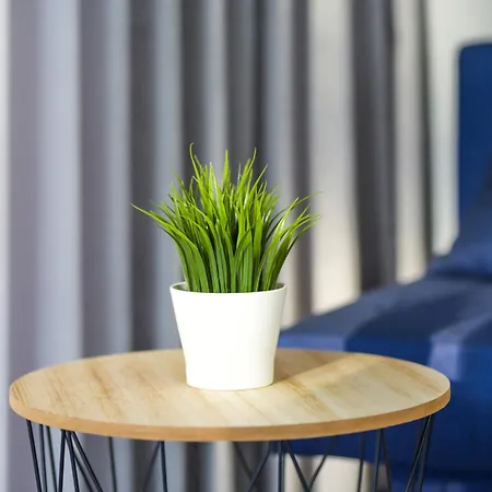 Cumowa Διαμέρισμα